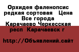 Орхидея фаленопсис редкая сортовая › Цена ­ 800 - Все города  »    . Карачаево-Черкесская респ.,Карачаевск г.